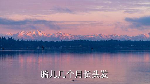 胎兒幾個月長頭發(fā)