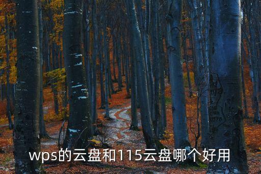 wps的云盤和115云盤哪個好用