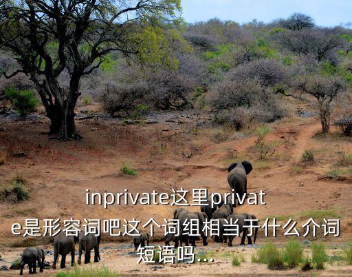 inprivate這里private是形容詞吧這個詞組相當于什么介詞短語嗎...