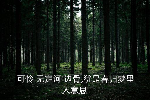  可憐 無定河 邊骨,猶是春歸夢里人意思
