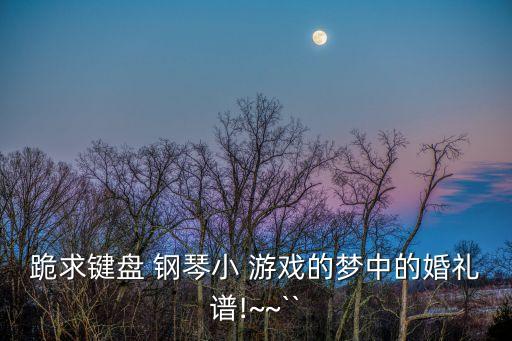 跪求鍵盤 鋼琴小 游戲的夢中的婚禮譜!~~``