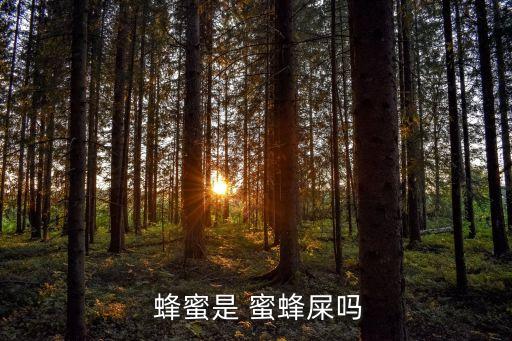 蜂蜜是蜜蜂的屎嗎,蜂蜜是蜜蜂唾液混合而成