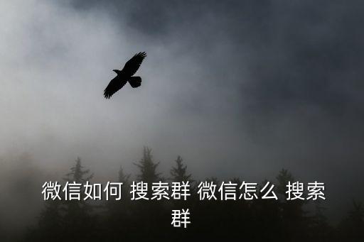  微信如何 搜索群 微信怎么 搜索群