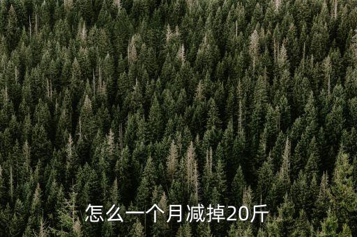 怎么一個月減掉20斤