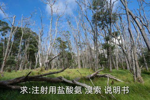 求:注射用鹽酸氨 溴索 說明書