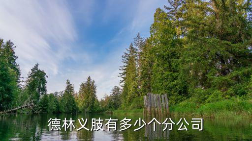 德林義肢有多少個分公司