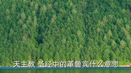 天主教圣經,基督教這個問題有點搞笑!