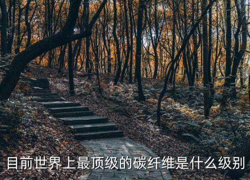 目前世界上最頂級的碳纖維是什么級別
