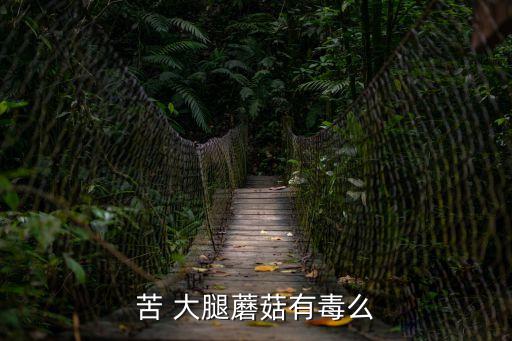 苦 大腿蘑菇有毒么