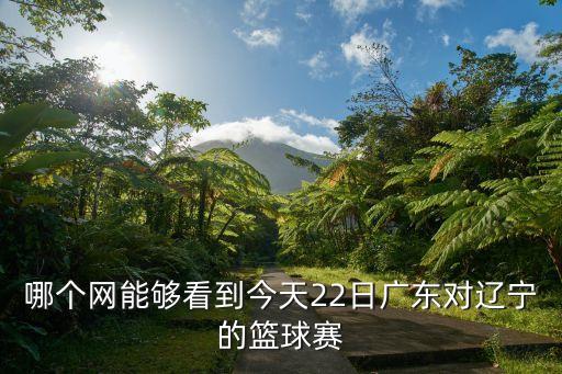 遼寧男籃vs廣東東莞直播總決賽，哪個網(wǎng)能夠看到今天22日廣東對遼寧的籃球賽