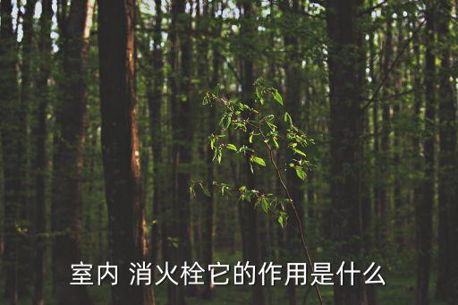 消火栓,室內消火栓是處理火災的一種手段