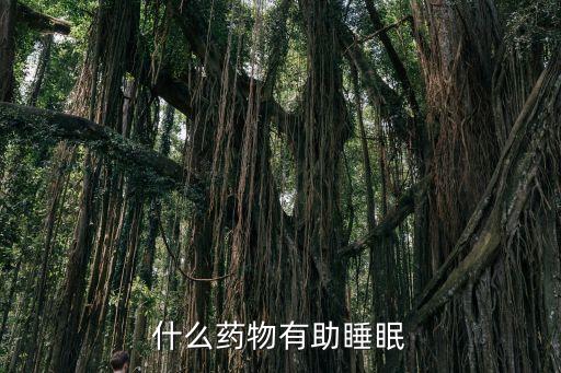 什么藥物有助睡眠