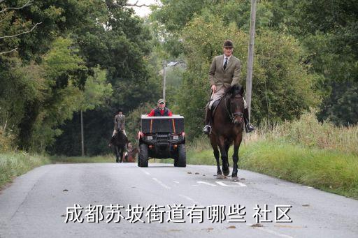 清江社區(qū),青羊區(qū)蘇坡彭中社區(qū)成立于2002年4月