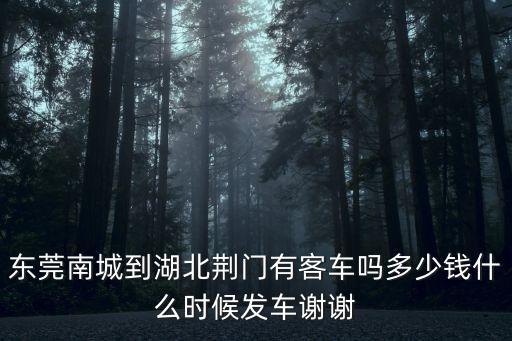 東莞南城到湖北荊門有客車嗎多少錢什么時候發(fā)車謝謝