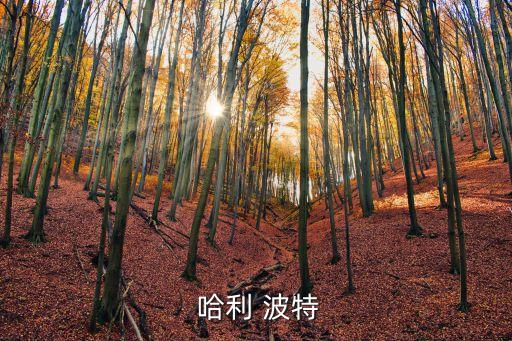  哈利 波特