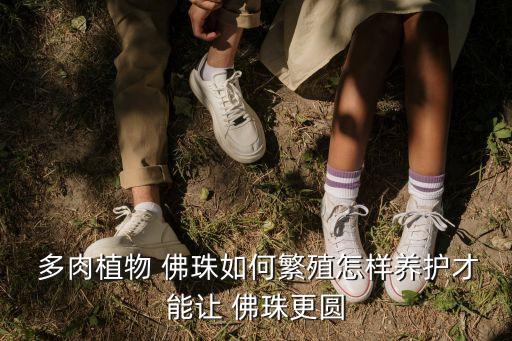 佛珠多肉,三個問題須解答!千里光千層浪一文看懂