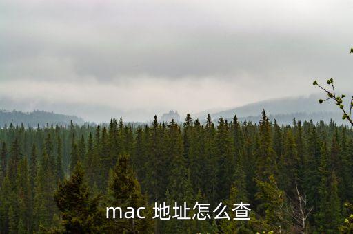 怎么查mac地址,網絡地址查詢方式:輸入密碼或文件