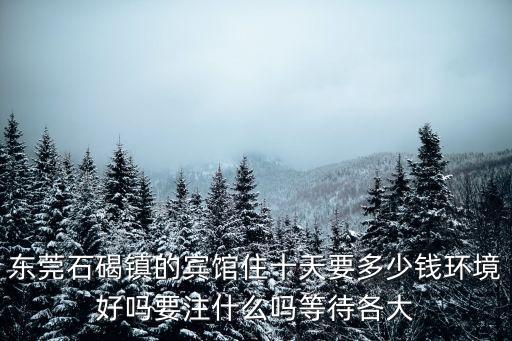 東莞石碣鎮的賓館住十天要多少錢環境好嗎要注什么嗎等待各大