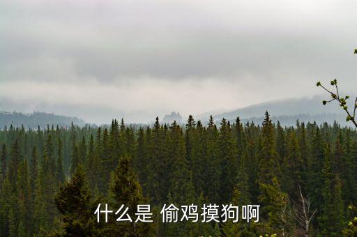 偷雞摸狗,【水滸傳》第四十六回:偷雞摸狗:小偷小摸正人君子