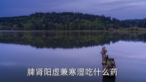 脾腎陽虛兼寒濕吃什么藥