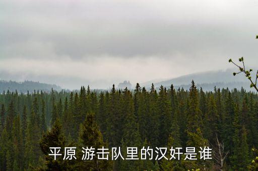  平原 游擊隊里的漢奸是誰