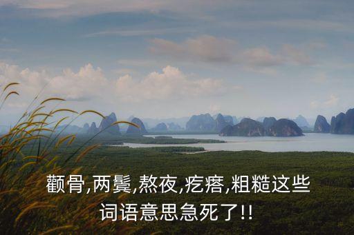  顴骨,兩鬢,熬夜,疙瘩,粗糙這些詞語意思急死了!!