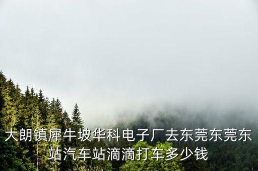 東莞華科到東莞總站，東莞東怎么座車去東莞總站