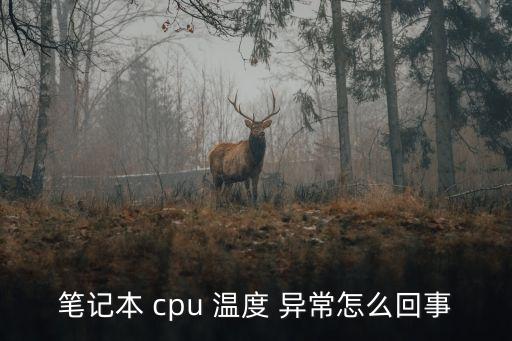 筆記本 cpu 溫度 異常怎么回事