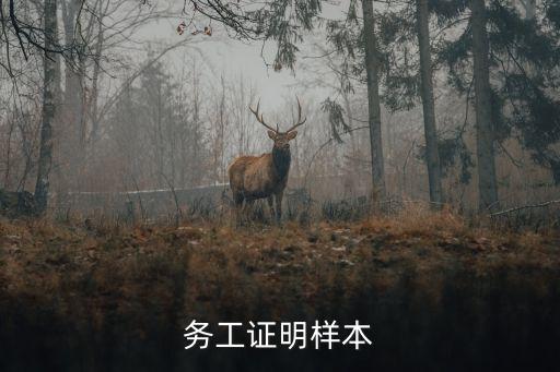 務工證明范本，100分 幫我寫一個務工證明書范文