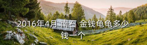 南石金錢龜,今年第一苗估計在450左右有價值但不適銷