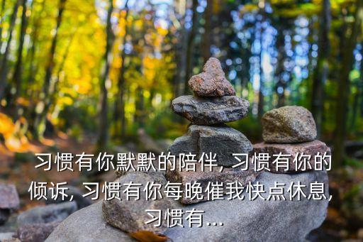  習慣有你默默的陪伴, 習慣有你的傾訴, 習慣有你每晚催我快點休息, 習慣有...