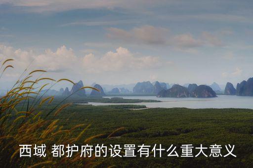  西域 都護府的設置有什么重大意義