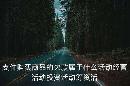 經營活動，經營活動凈額指的是什么