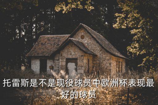 托妞,托雷斯現(xiàn)在版本比托托盤更好看