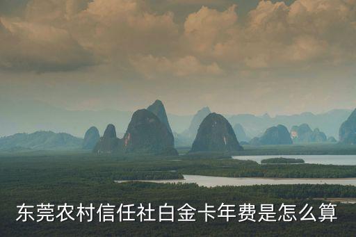 東莞農(nóng)村信任社白金卡年費(fèi)是怎么算