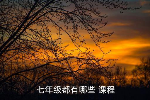  七年級都有哪些 課程
