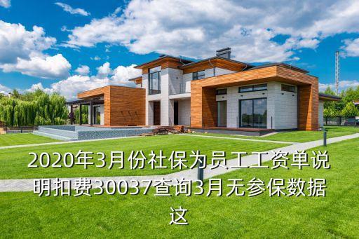 東莞2020年三四月社保沒數據，2020年2月和3月社保己繳為啥查不到紀錄