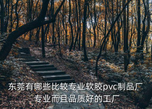 東莞有哪些比較專業軟膠pvc制品廠 專業而且品質好的工廠