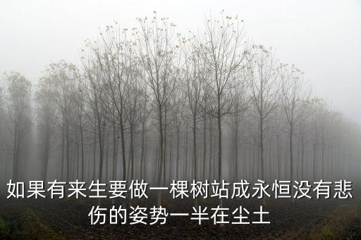 如果有來生三毛，三毛如果有來生的由來
