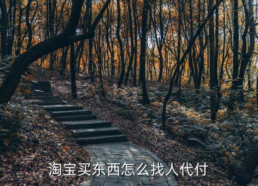 淘寶怎么找人代付，淘寶買東西怎么找人代付