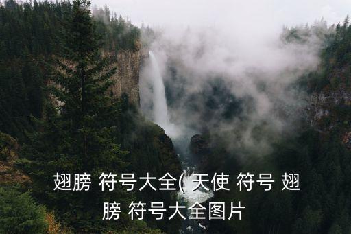  翅膀 符號(hào)大全( 天使 符號(hào) 翅膀 符號(hào)大全圖片