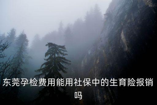 東莞孕檢費用能用社保中的生育險報銷嗎