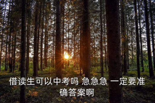 借讀生可以中考嗎 急急急 一定要準確答案啊