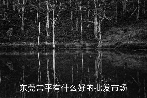 東莞常平有什么好的批發市場