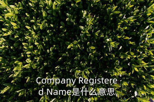 東莞市華諾合金有限公司英文翻譯，Company Registered Name是什么意思