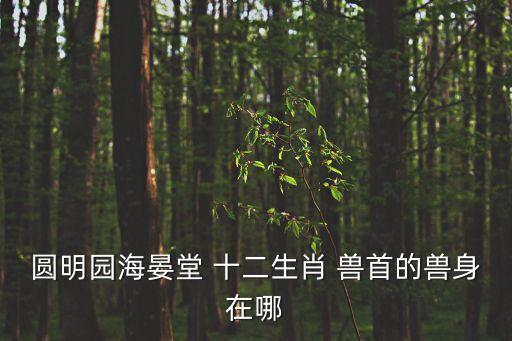 十二生肖獸首,清代圓明園十二生肖獸首原為噴泉的一部分