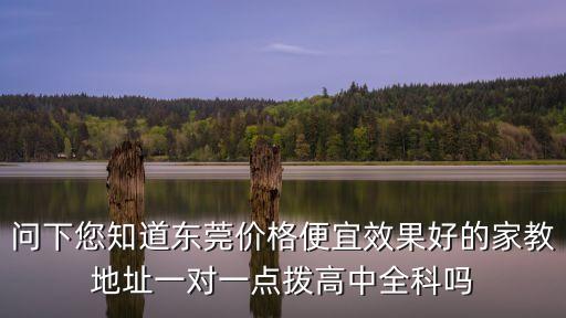 東莞親子教育中心價格，東莞地區(qū)有哪些比較好的家教一對一補課費用貴不貴