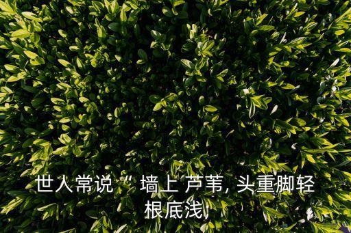 世人常說“ 墻上 蘆葦, 頭重腳輕 根底淺;