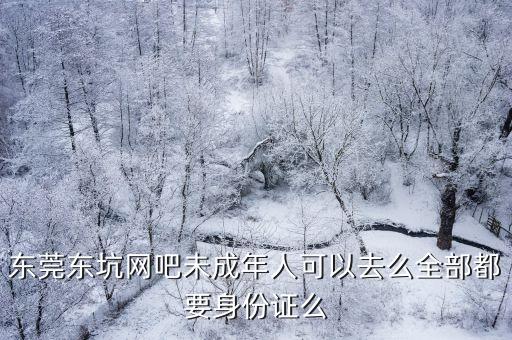 東莞東坑網吧未成年人可以去么全部都要身份證么