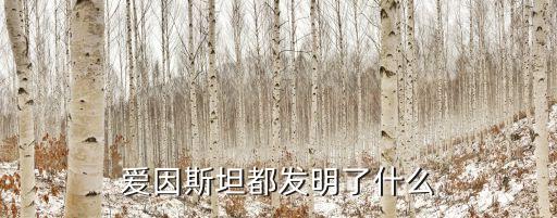 愛因斯坦的發明有哪些，愛因斯坦都發明了什么